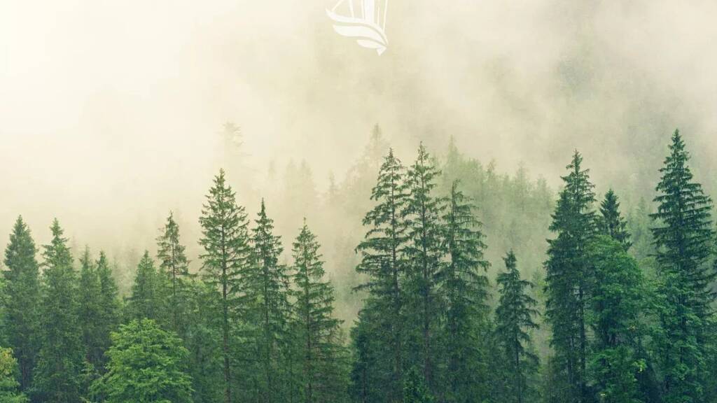 Grundstück zum Kauf 180.000 € 55.000 m² Grundstück Via Passo Giovo Ratschings 39040