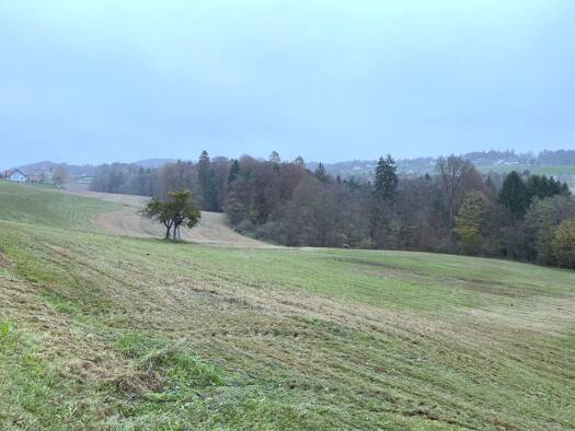 Landwirtschaftliche Fläche zum Kauf 94.500 € 25.755 m² Kirchbach-Zerlach 8082