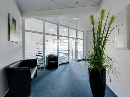 Bürofläche zur Miete provisionsfrei 14,50 € 350 m² Bürofläche Bad Homburg Bad Homburg vor der Höhe 61348