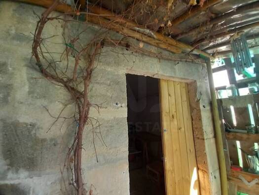 Acker-/Waldstück zum Kauf 48.000 € Petra 07509