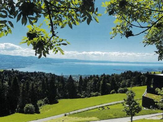 Grundstück zum Kauf 538.000 € 545 m² Grundstück Eichenberg 6911