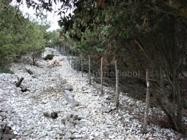 Land-/Forstwirtschaft zum Kauf 358.000 € Mali Losinj 51553