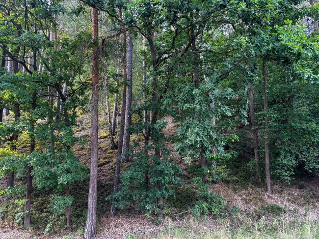 Forstwirtschaft zum Kauf 15.484 € 7.742 m² Grundstück Schwarzach Schwarzach b.Nabburg