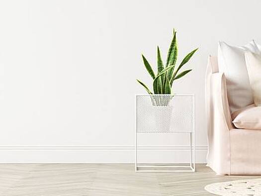 Wohnung zum Kauf 98.000 € 2 Zimmer 47 m² San Isidro 38611