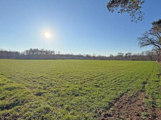 Land-/Forstwirtschaft zum Kauf 317.000 € 33.315 m² Grundstück Brünen Hamminkeln 46499