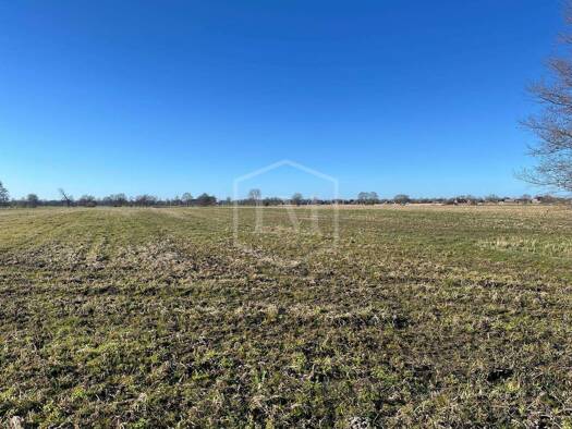 Landwirtschaftliche Fläche zum Kauf 210.000 € 42.111 m² Grundstück Innenstadt Aurich 26603