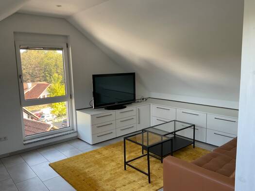 Wohnung zur Miete 560 € 1 Zimmer 35 m² Geschoss 3/4 frei ab 01.02.2026 Niederhof Murg 79730