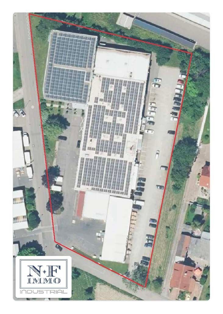 Halle/Industriefläche zum Kauf 2.960.000 € 5.000 m²<br/>Lagerfläche Kippenheim Kippenheim 77971