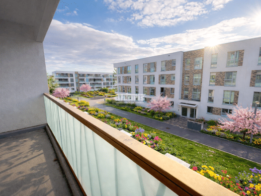 Wohnung zur Miete 1.066 € 3 Zimmer Krämpfervorstadt Erfurt 99085
