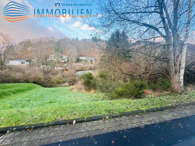 Grundstück zum Kauf 35.000 € 518 m² Grundstück Schleiden Schleiden 53937