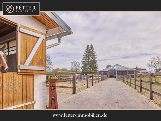 Haus zum Kauf 890.000 € 11 Zimmer 30.103 m² Grundstück Dannenberg Dannenberg 29451