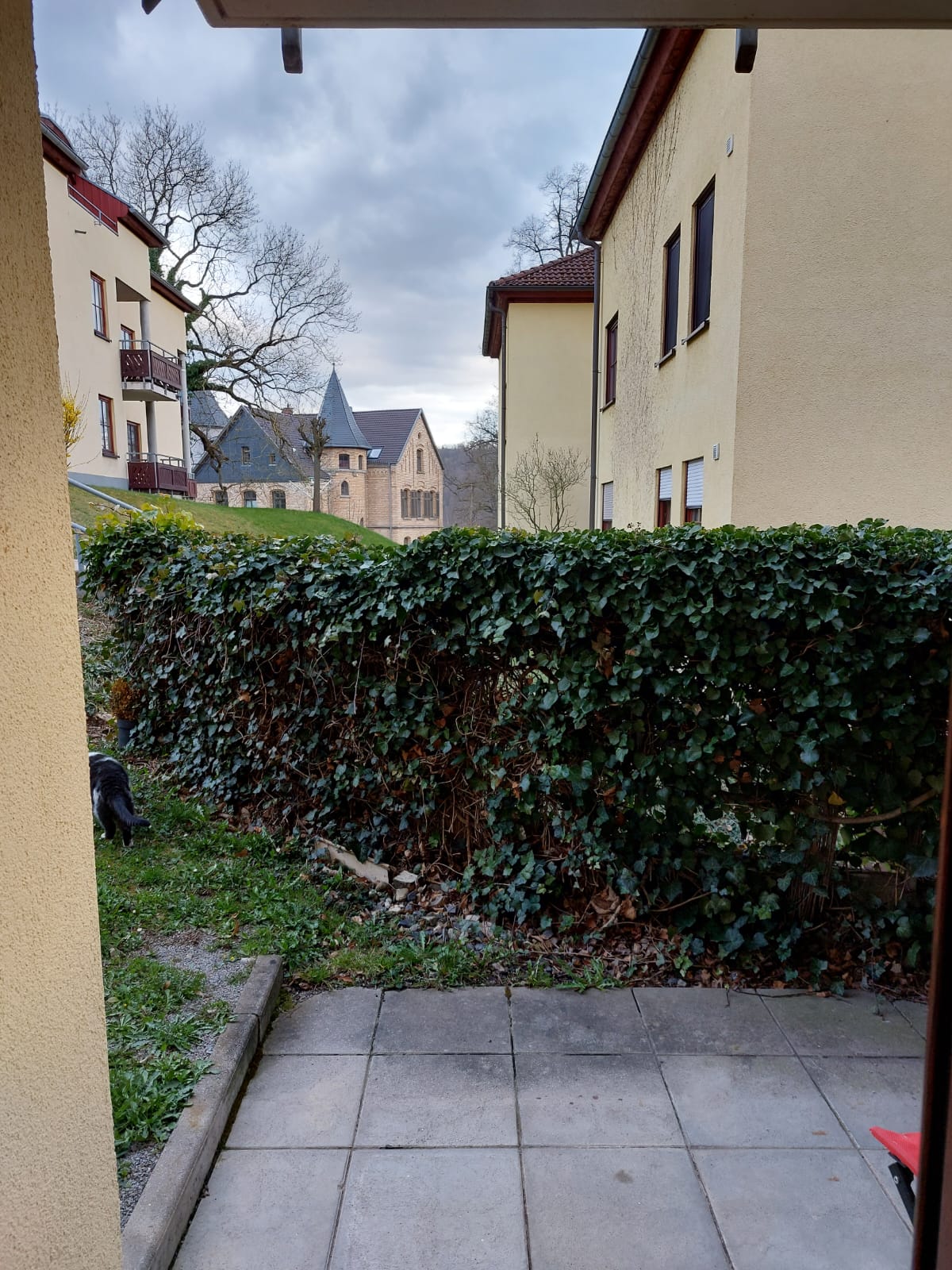 Wohnung zur Miete 341 € 1,5 Zimmer 48,7 m²<br/>Wohnfläche EG<br/>Geschoss 01.04.2025<br/>Verfügbarkeit Stedtfeld Eisenach 99817