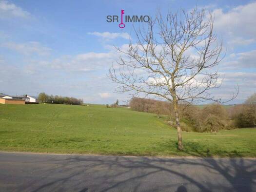 Grundstück zum Kauf 55.320 € 922 m² Grundstück Dauwelshausen 54673