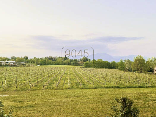 Villa zum Kauf 7.000.000 € 38 Zimmer 1.135 m² 900 m² Grundstück Desenzano Del Garda 25015