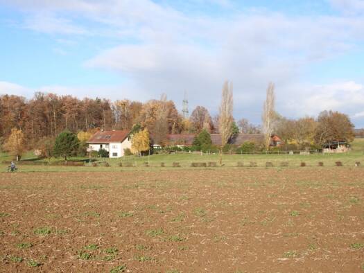WG-Zimmer zur Miete Wohnen auf Zeit 575 € 30 m² frei ab 06.01.2026 Schafhof 0 Ebersbach Ebersbach /Fils 73061