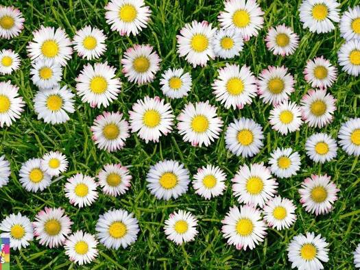 Wohnung zur Miete 603 € 2 Zimmer 62,6 m² Am Stadtgraben 7a Krems an der Donau 3500