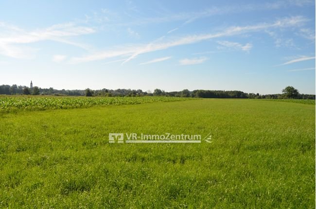 Land-/Forstwirtschaft zum Kauf 18.500 € 2.830 m²<br/>Grundstück Weil Weil 86947