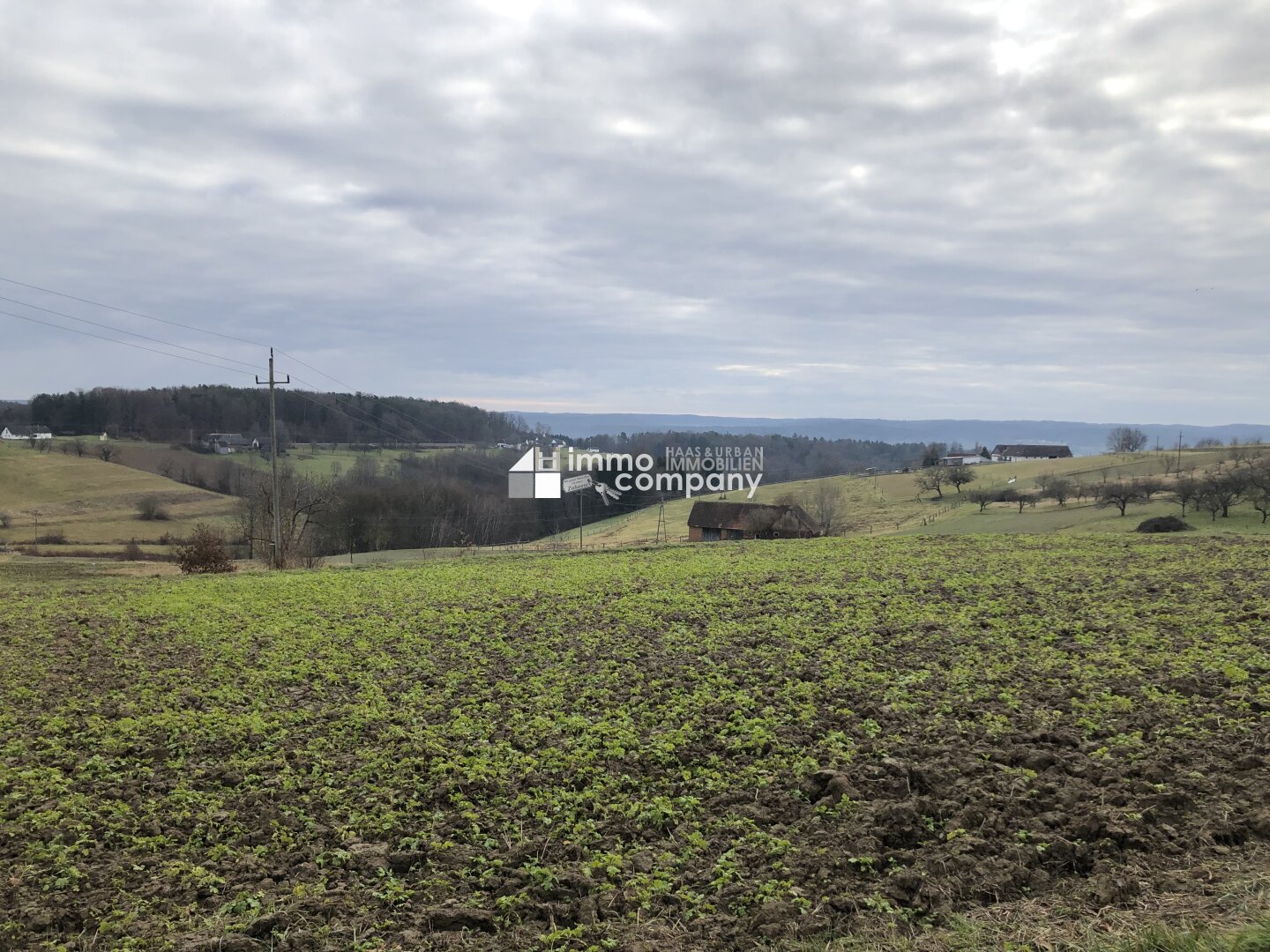 Grundstück zum Kauf 6.707 m²<br/>Grundstück Weichselbaum 8382