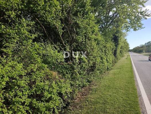 Acker-/Waldstück zum Kauf 1 € Marčana 52206
