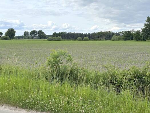 Land-/Forstwirtschaft zum Kauf 80.500 € 15.575 m² Grundstück Hollwege Westerstede 26655