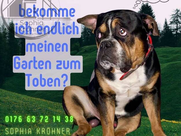 Einfamilienhaus zum Kauf provisionsfrei 154.599 € 5 Zimmer 134 m² 690 m² Grundstück Großschirma Großschirma 09603