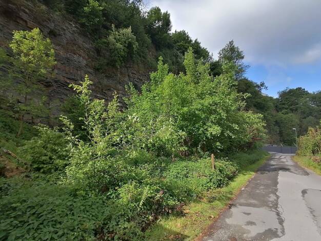 Freizeitgrundstück zum Kauf 33.000 € 964 m² Grundstück Allagen Warstein / Allagen 59581