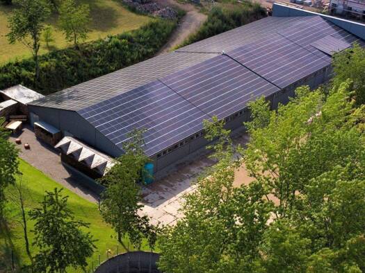 Garage zur Miete 100 € Oelsa Rabenau 01734