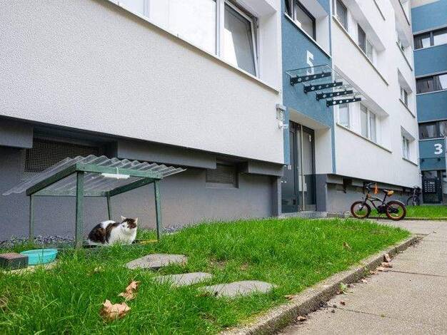 Wohnung zur Miete 783 € 3 Zimmer 84 m² 2. Geschoss frei ab 20.01.2026 Pöllerstraße 3 Kurl Dortmund 44319