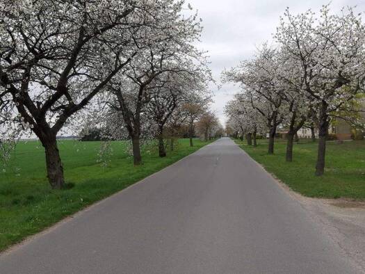 Grundstück zum Kauf 54.900 € 577 m² Grundstück Niebendorf-Heinsdorf Dahme/Mark 15936