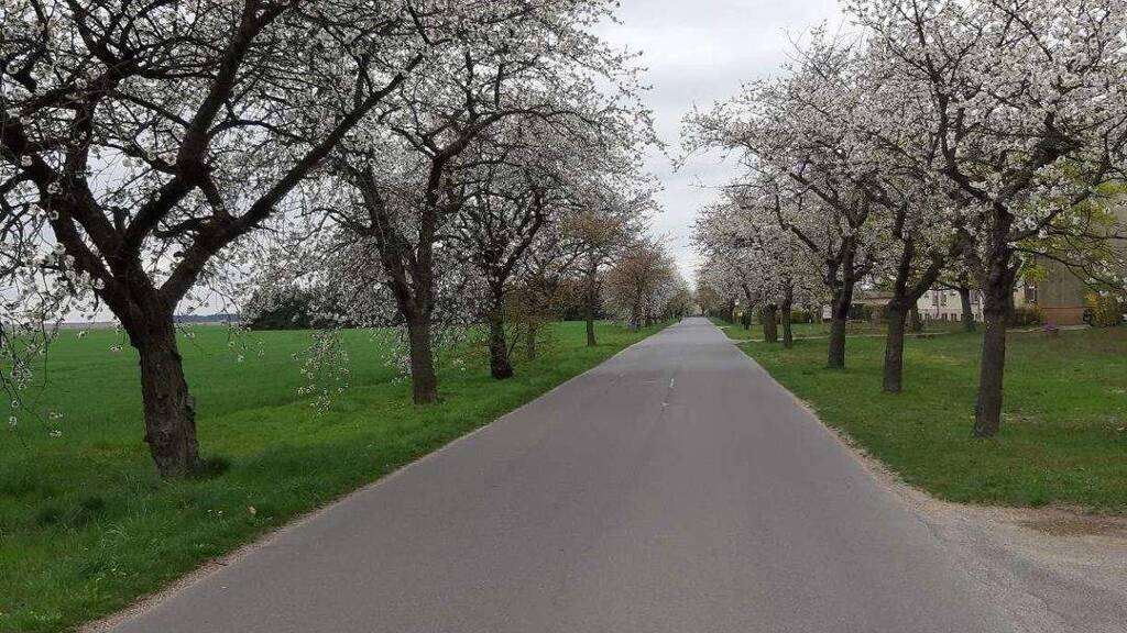 Grundstück zum Kauf 54.900 € 577 m² Grundstück Niebendorf-Heinsdorf Dahme/Mark 15936