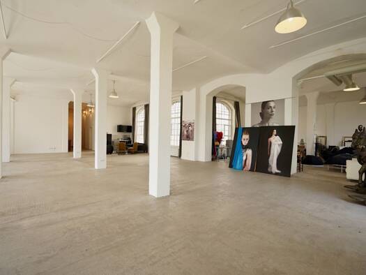 Loft zum Kauf 198.000 € 1 Zimmer 335 m² 2. Geschoss Heidenau 01809
