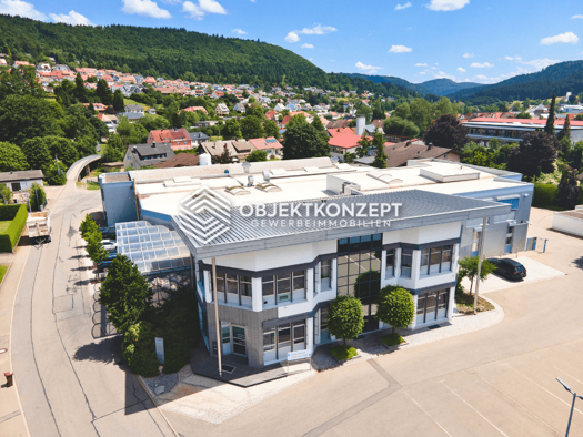 Lagerhalle zur Miete provisionsfrei 3.941 m² Lagerfläche Wehingen 78564