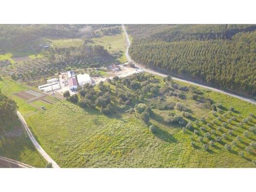 Grundstück zum Kauf 20.000 € 8.080 m² Grundstück Rio Maior