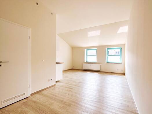 Wohnung zur Miete 480 € 1 Zimmer 30 m² 2. Geschoss Leipziger Straße 2 a Leipziger Vorstadt Ortsamtsbereich Neustadt 01097
