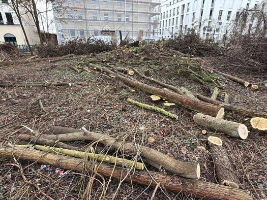 Studio zum Kauf - Erstbezug 105.449 € 1 Zimmer 19,7 m² EG Eberswalde 16225