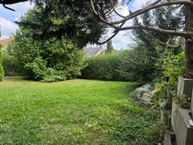 Studio zum Kauf 122.000 € 2 Zimmer 43,7 m² EG frei ab 01.07.2025 Syrgenstein Syrgenstein 89428
