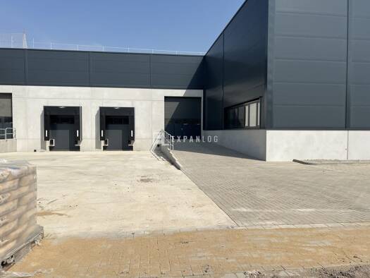 Lagerhalle zur Miete provisionsfrei 4.309 m² Lagerfläche teilbar ab 400 m² Lierenfeld Düsseldorf 40231