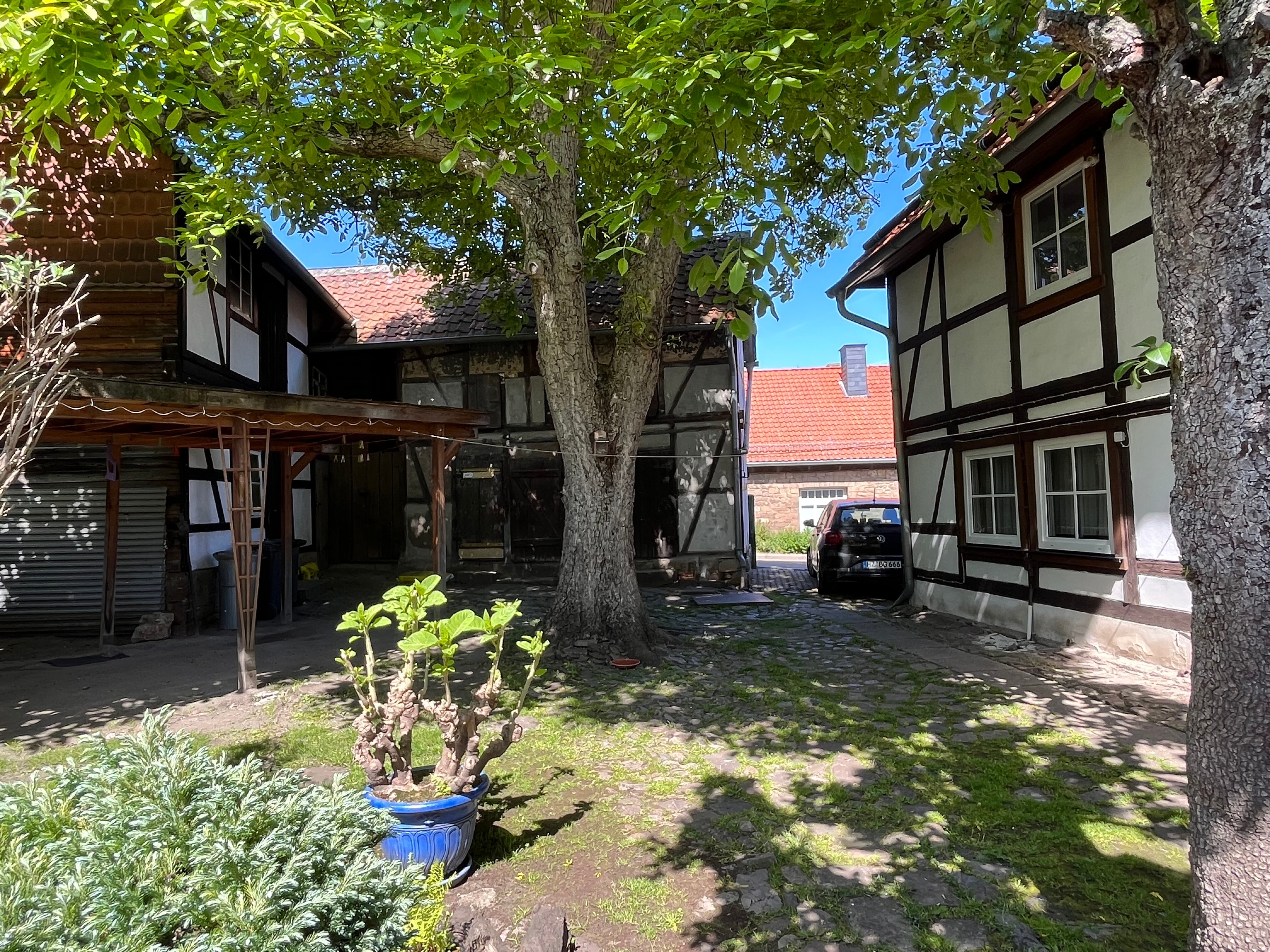 Mehrfamilienhaus zum Kauf provisionsfrei 250.000 € 10 Zimmer 271 m²<br/>Wohnfläche 736 m²<br/>Grundstück Ilsenburg Ilsenburg 38871