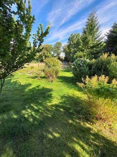 Einfamilienhaus zum Kauf 121.900 € 5 Zimmer 140 m² 2.500 m² Grundstück Meisberg Hettstedt / Meisberg 06333