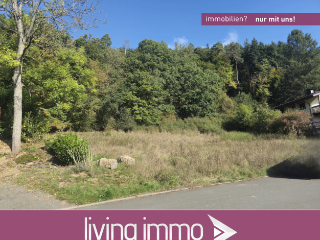 Grundstück zum Kauf 72.000 € 1.540 m² Grundstück Eckelshausen Biedenkopf 35216