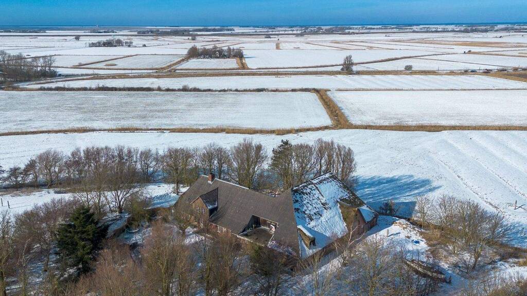 Haus zum Kauf 595.000 € 7 Zimmer 703 m² 8.492 m² Grundstück Tating 25881