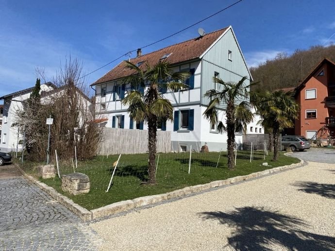 Mehrfamilienhaus zum Kauf 880.000 € 16 Zimmer 440 m²<br/>Wohnfläche 700 m²<br/>Grundstück Diersburg Hohberg 77749