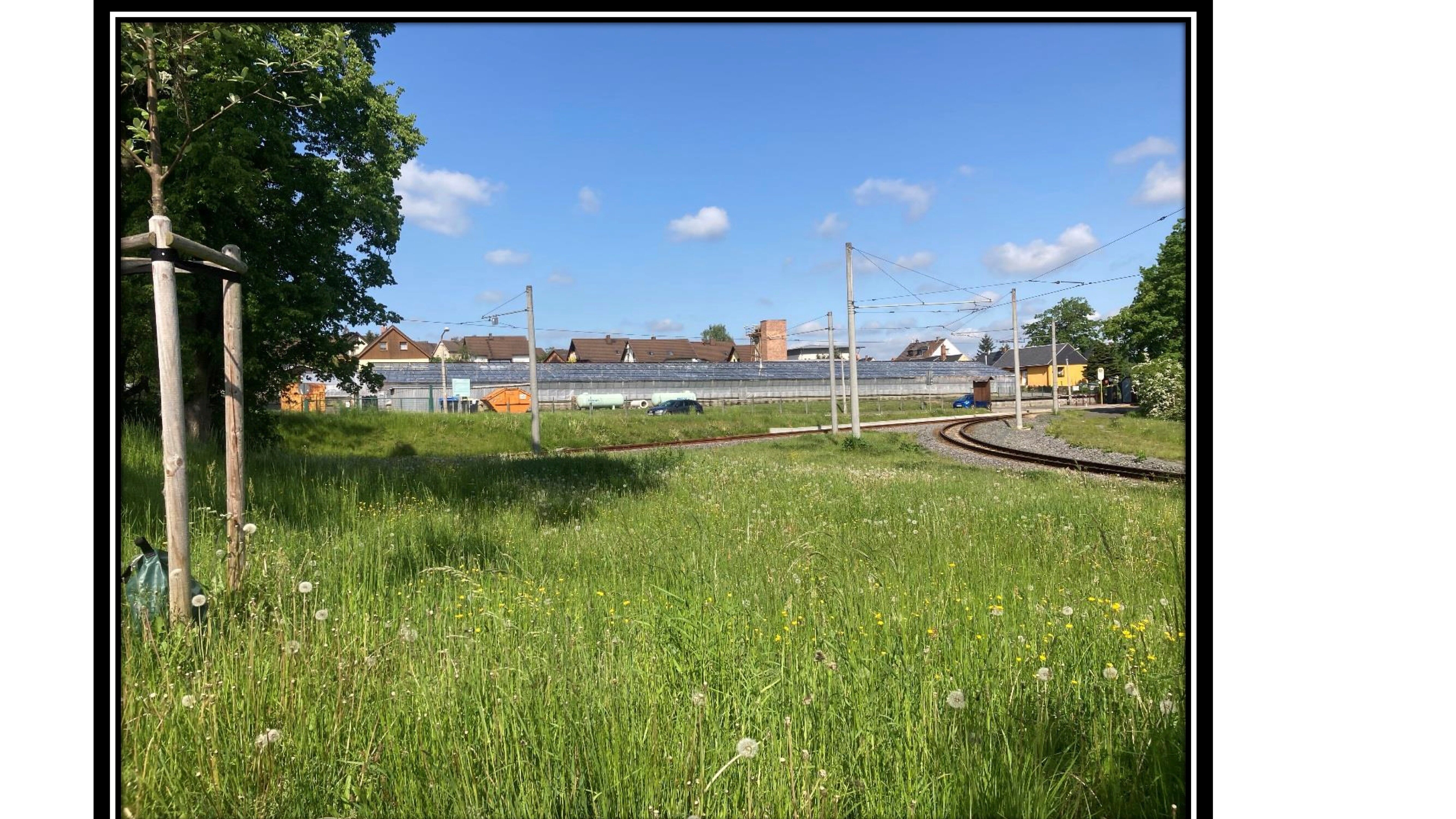 Grundstück zum Kauf 470.000 € 6.500 m²<br/>Grundstück Reusa / Sorga Plauen 08523