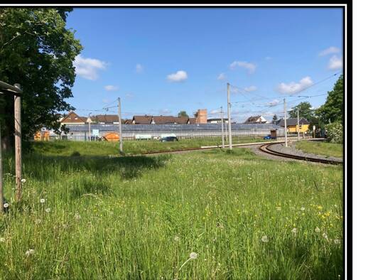 Grundstück zum Kauf 470.000 € 6.500 m² Grundstück Reusa Plauen 08523