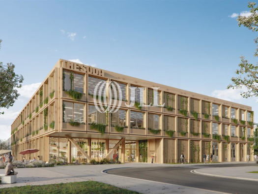 Bürofläche zur Miete provisionsfrei 8.400 m² Bürofläche teilbar ab 2.000 m² Golm Potsdam 14476