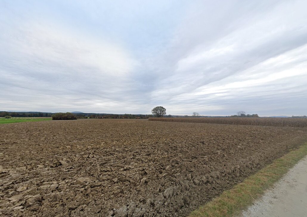 Landwirtschaftliche Fläche zum Kauf 52.103 m²<br/>Grundstück Mooskirchen 8562