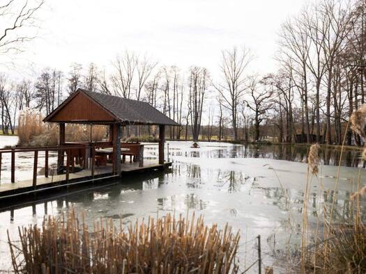 Haus zum Kauf provisionsfrei 749.000 € 17 Zimmer 618 m² 16.643 m² Grundstück Splau Bad Schiedeberg 06905