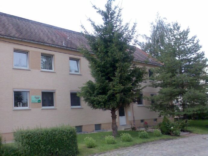 Wohnung zur Miete 375 € 3 Zimmer 65 m²<br/>Wohnfläche 1.<br/>Geschoss ab sofort<br/>Verfügbarkeit Leipziger Str. 12 Reuden Elsteraue 06729