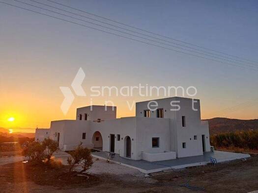 Einfamilienhaus zum Kauf 400.000 € 4 Zimmer 100 m² 1.600 m² Grundstück Galanado, Naxos 843 00