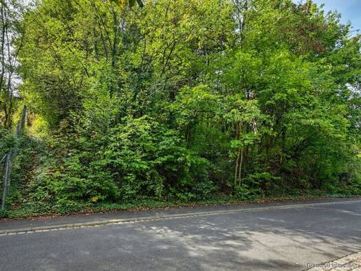 Grundstück zum Kauf 855.000 € 900 m² Grundstück Steinbachtal Würzburg 97082